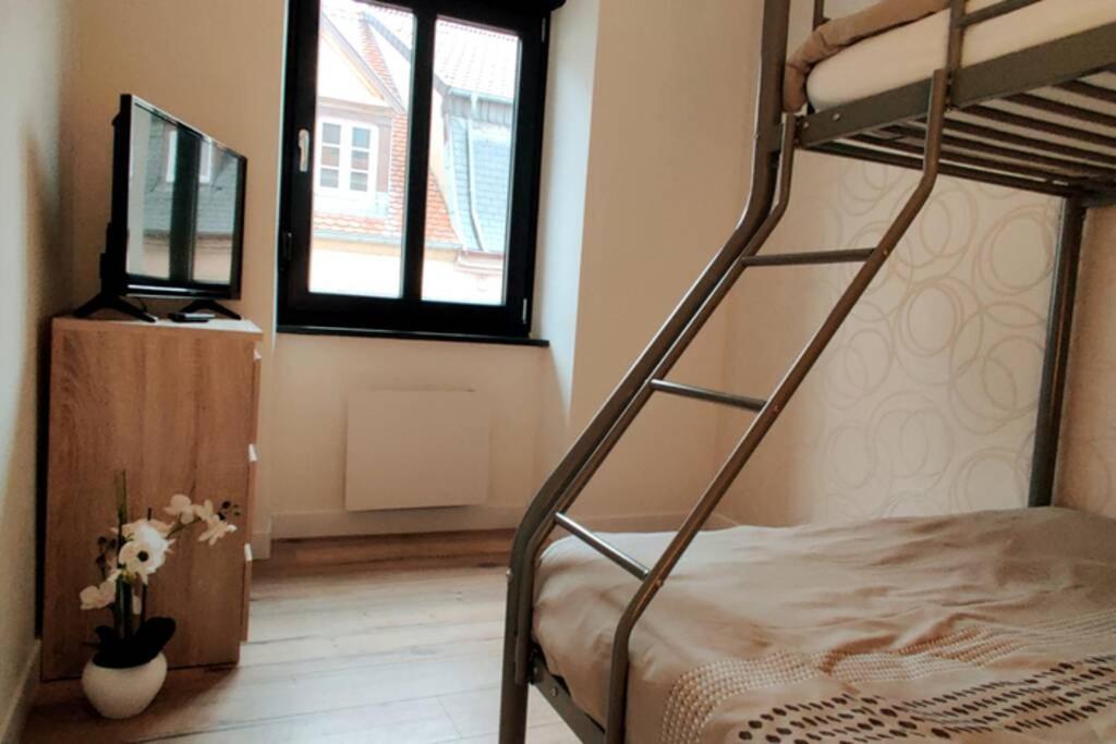 Le Cygne, Appartement De Standing En Hyper-Centre Sarreguemines Exterior foto
