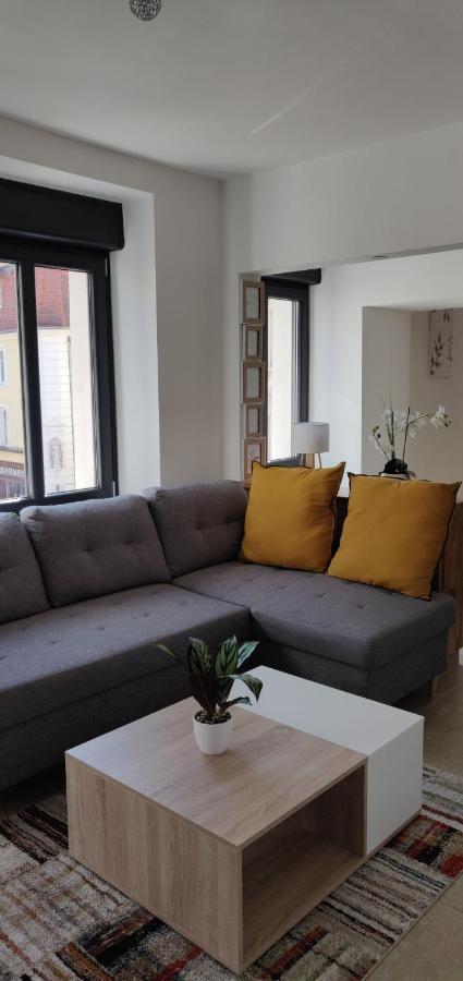 Le Cygne, Appartement De Standing En Hyper-Centre Sarreguemines Exterior foto