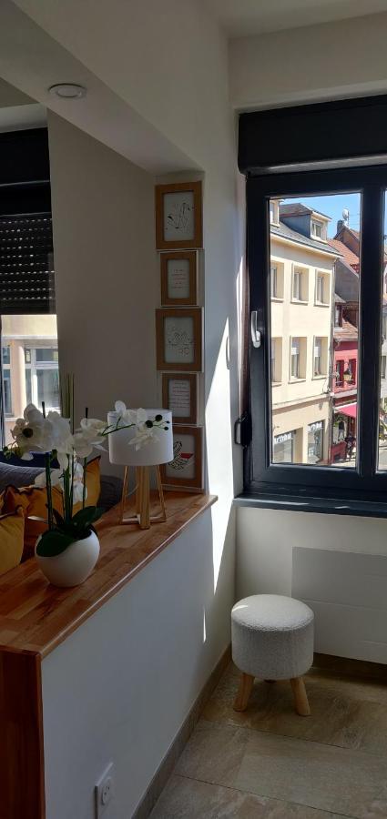Le Cygne, Appartement De Standing En Hyper-Centre Sarreguemines Exterior foto